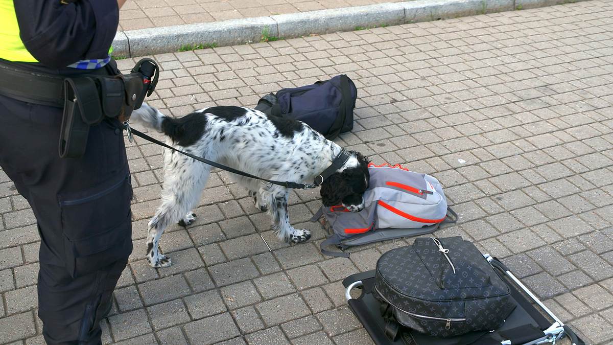 border control: schwedens grenzschützer