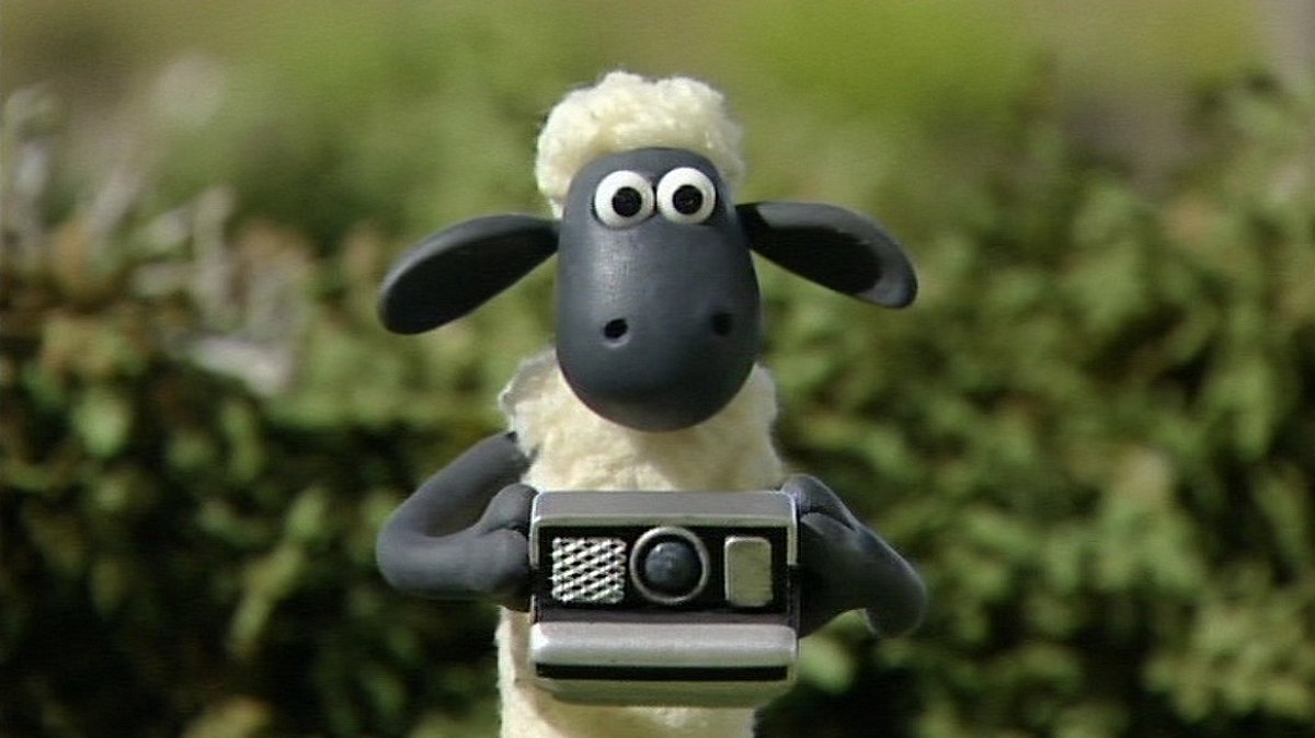 shaun das schaf