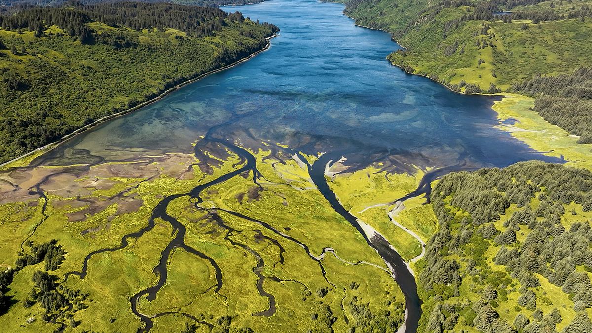 alaskas legendäre bären-insel - kodiak island
