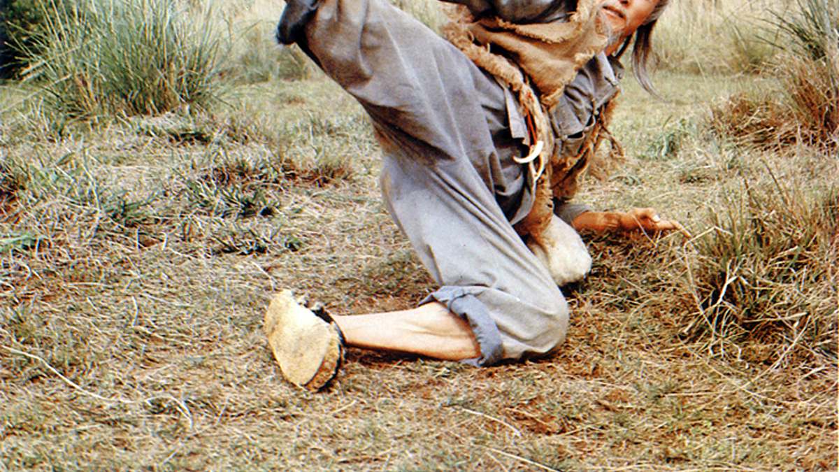 die welt des drunken master