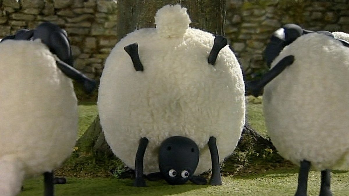 shaun das schaf