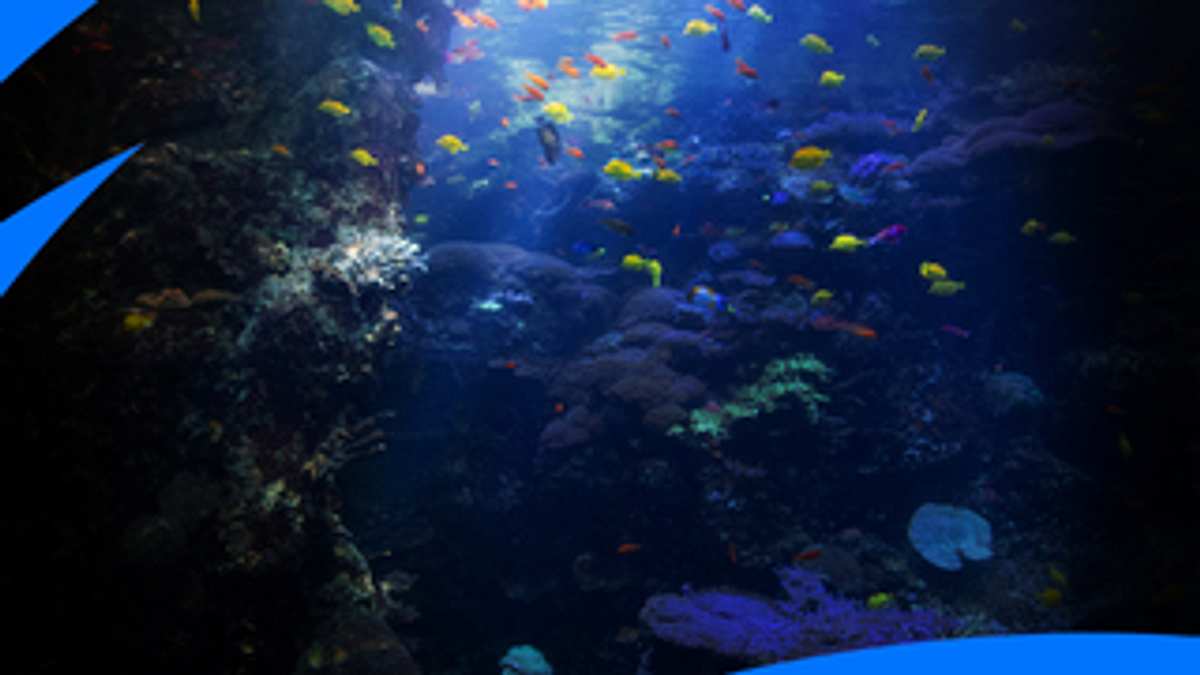 das atlanta-aquarium
