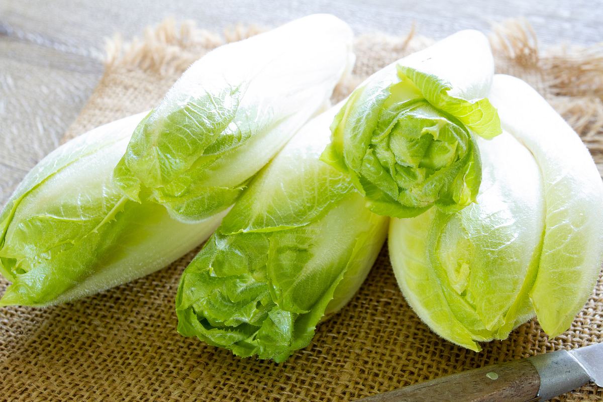aktiv und gesund