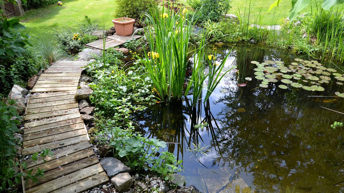ab ins beet! die garten-soap