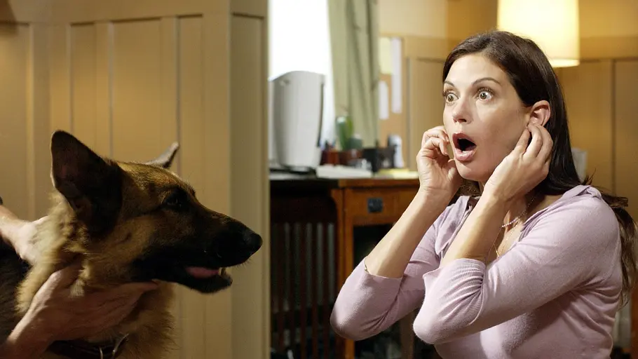 Desperate Housewives desperate housewives