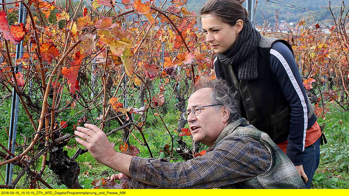 weingut wader - die erbschaft