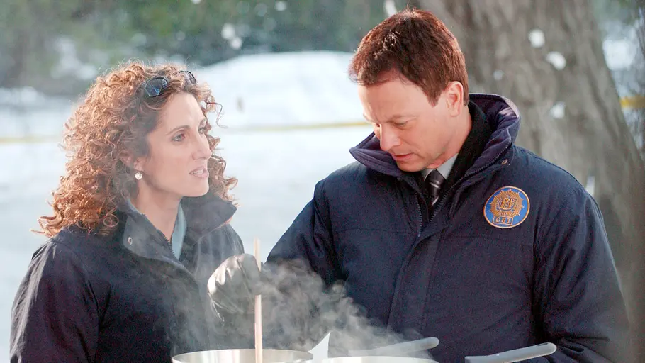 CSI: NY csi: ny