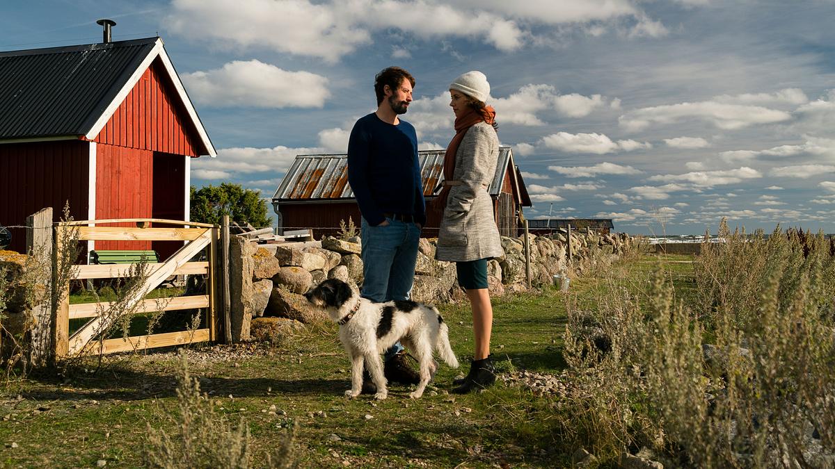 inga lindström: liebe lebt weiter