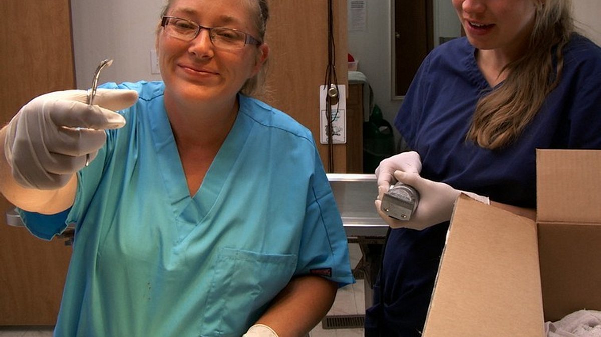 der unglaubliche dr. pol