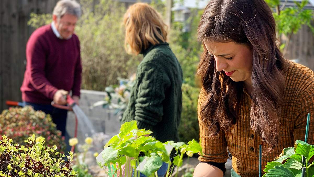 Alan Titchmarsh: Liebe deinen Garten! alan titchmarsh: liebe deinen garten!