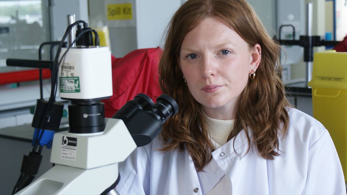 expert witness - forensiker auf spurensuche