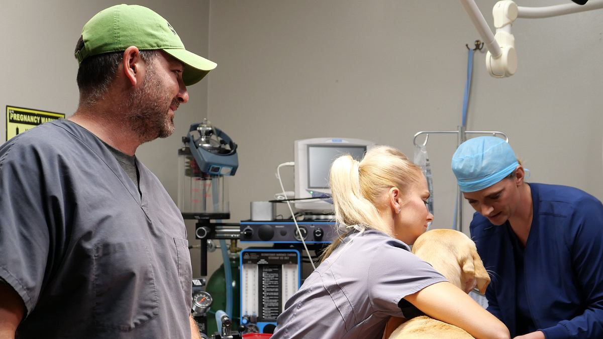 heartland docs - die tierarzt-familie
