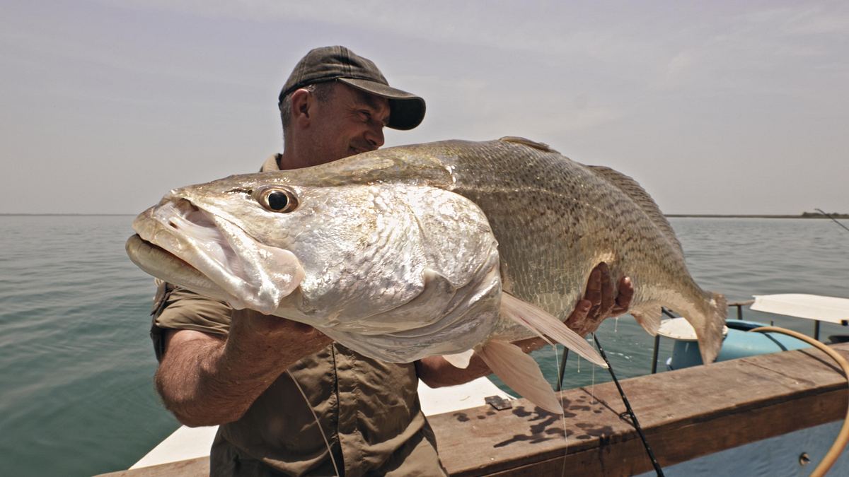 Giganten unter Wasser - Riesenfischen auf der Spur giganten unter wasser - riesenfischen auf der spur