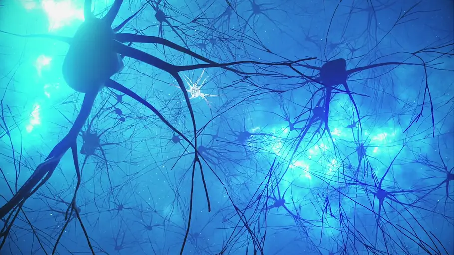 Brain-Computer-Interface: Das digitale Gehirn brain-computer-interface: das digitale gehirn