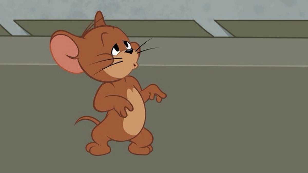 die tom und jerry show