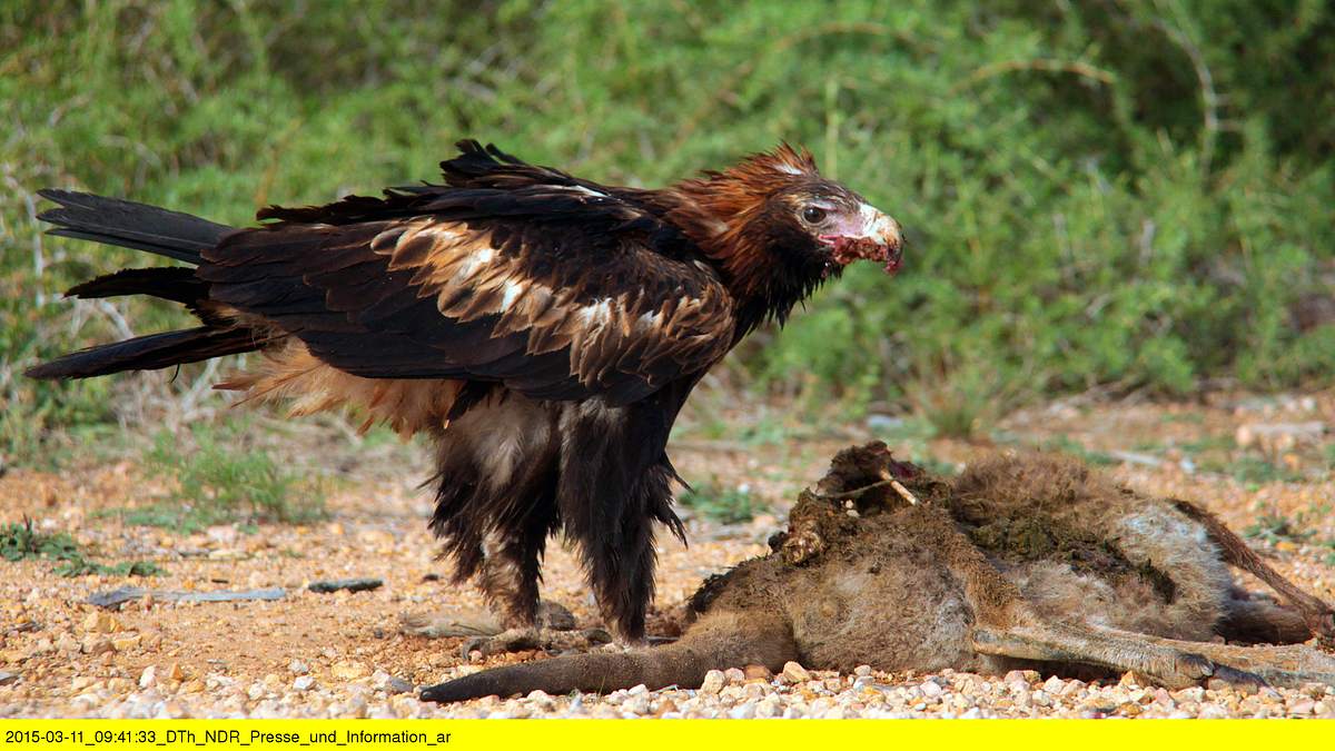 abenteuer wildnis