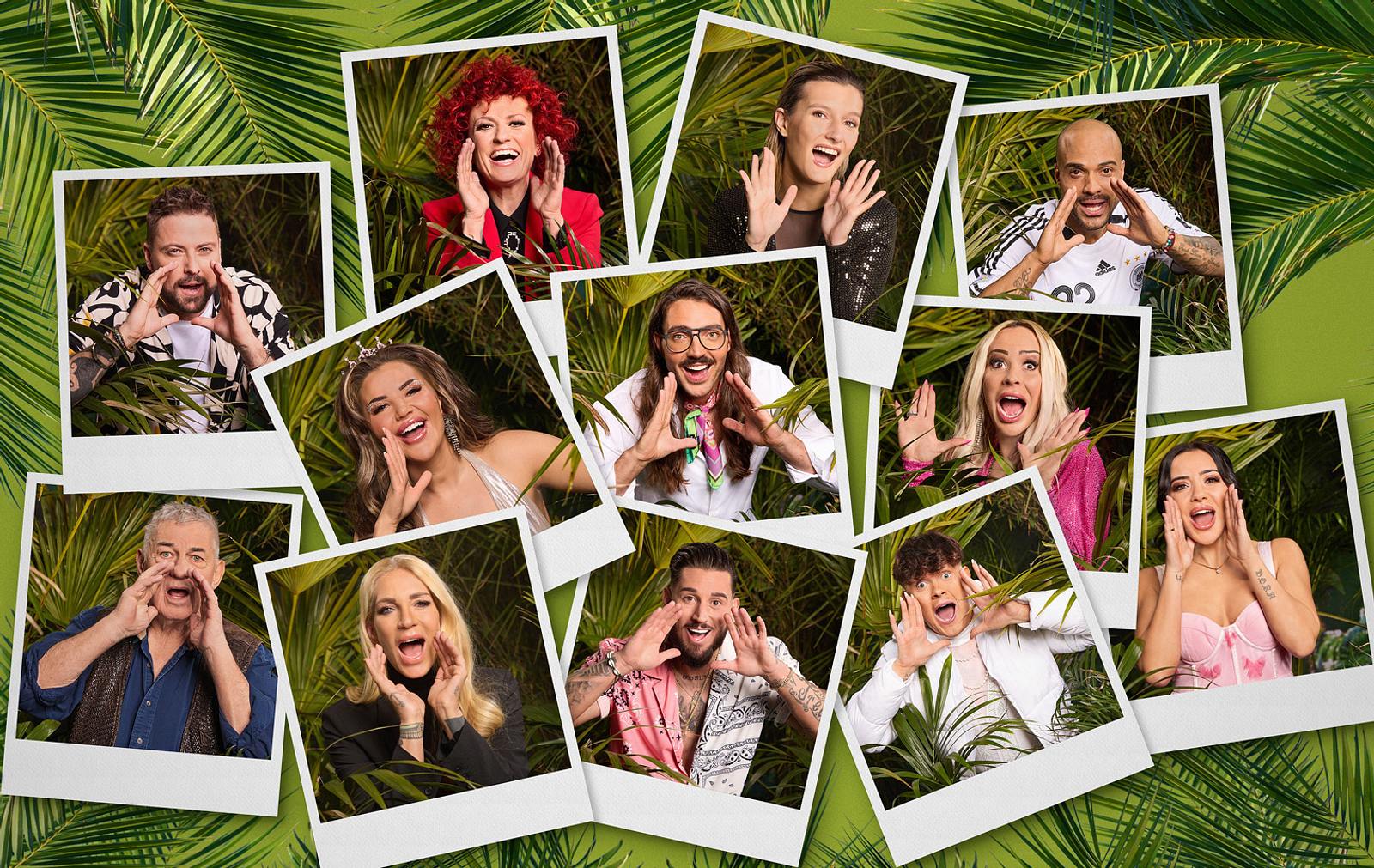 Was Kostet Ein Bärenticket Im Abo Unglaublich! So viel kostet RTL das Dschungelcamp