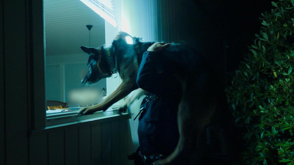 police dogs