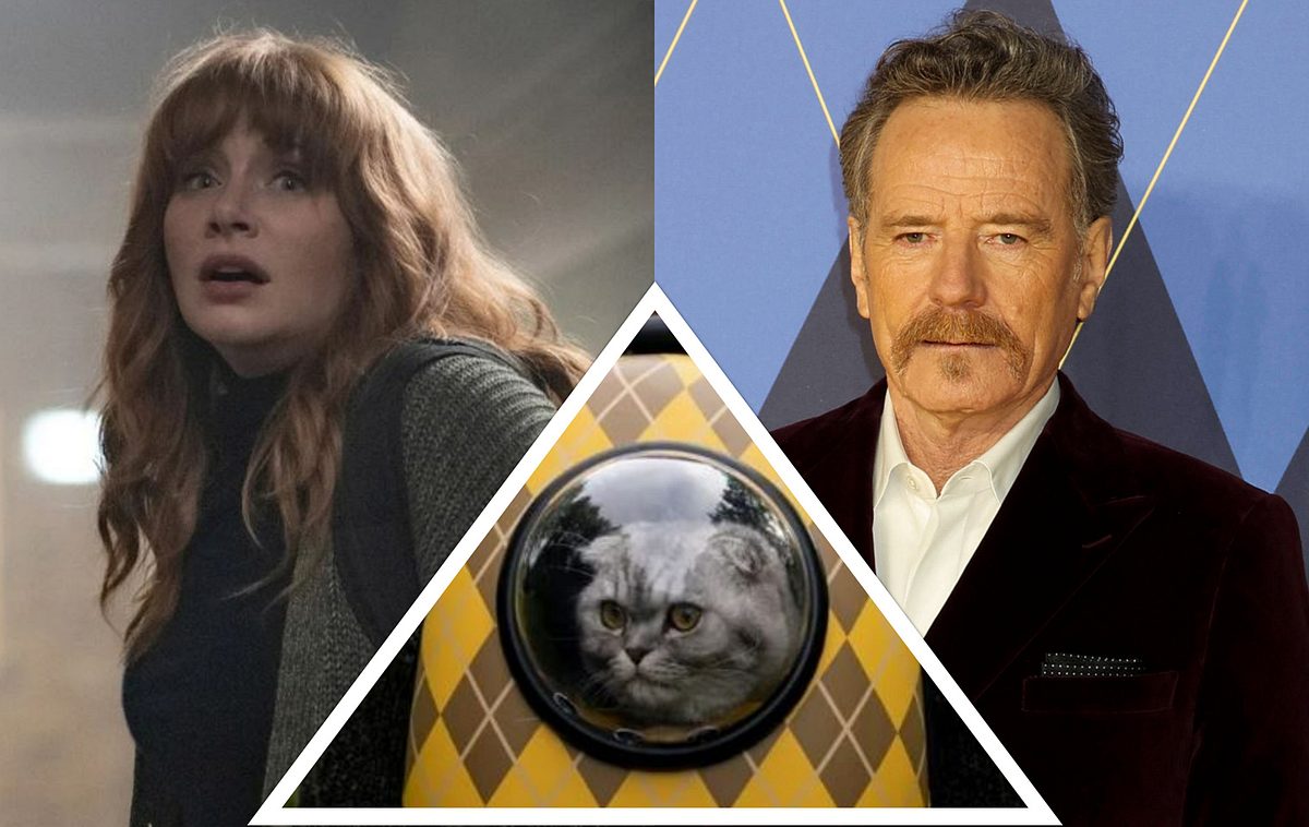 Bryce Dallas Howard und Bryan Cranston nehmen Fans die Sorge um Argylle-Katze Chip/Archie