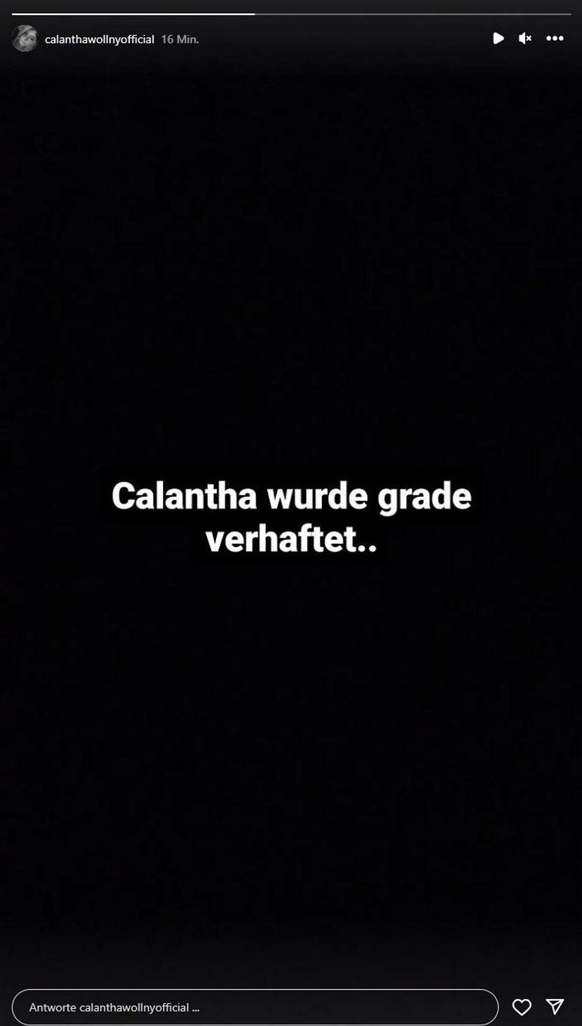 Calantha Wollny verhaftet?