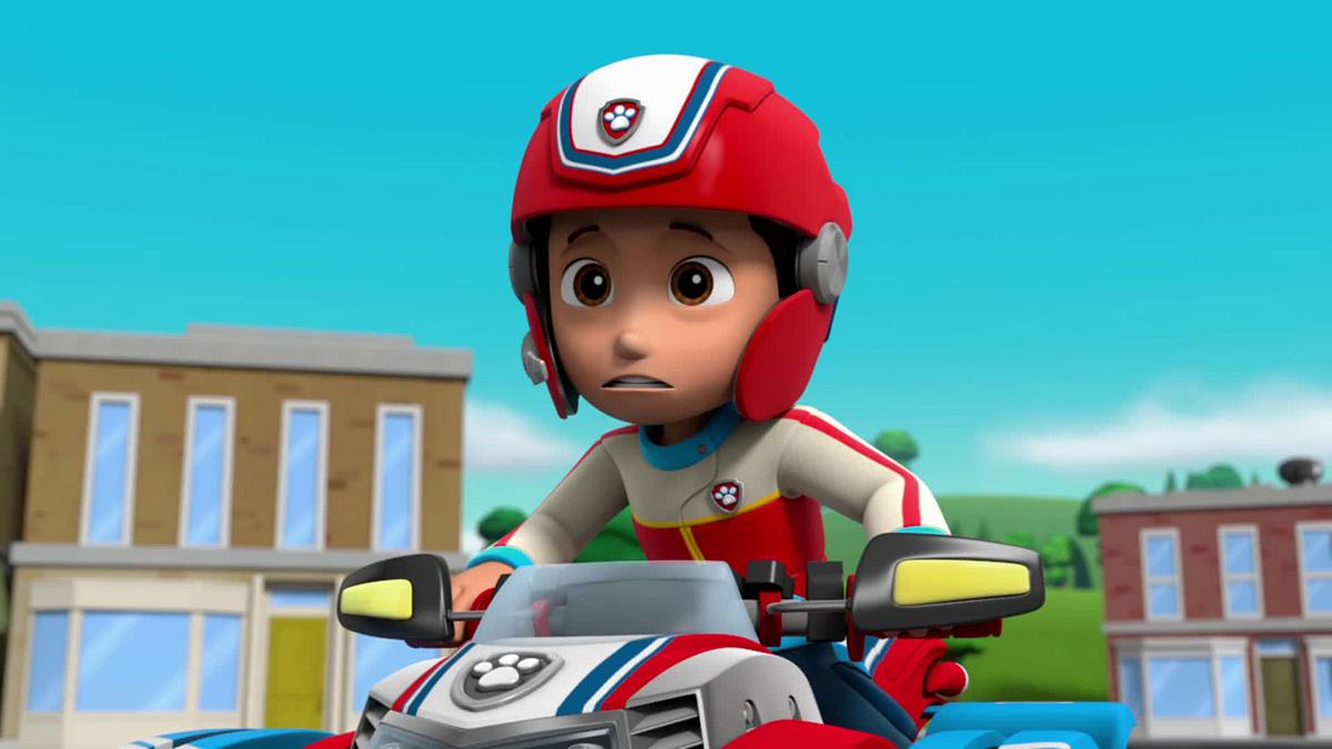 paw patrol - helfer auf vier pfoten