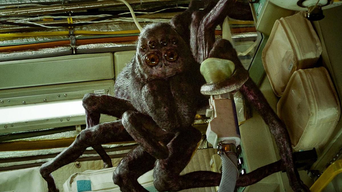 Spaceman Netflix Spinne