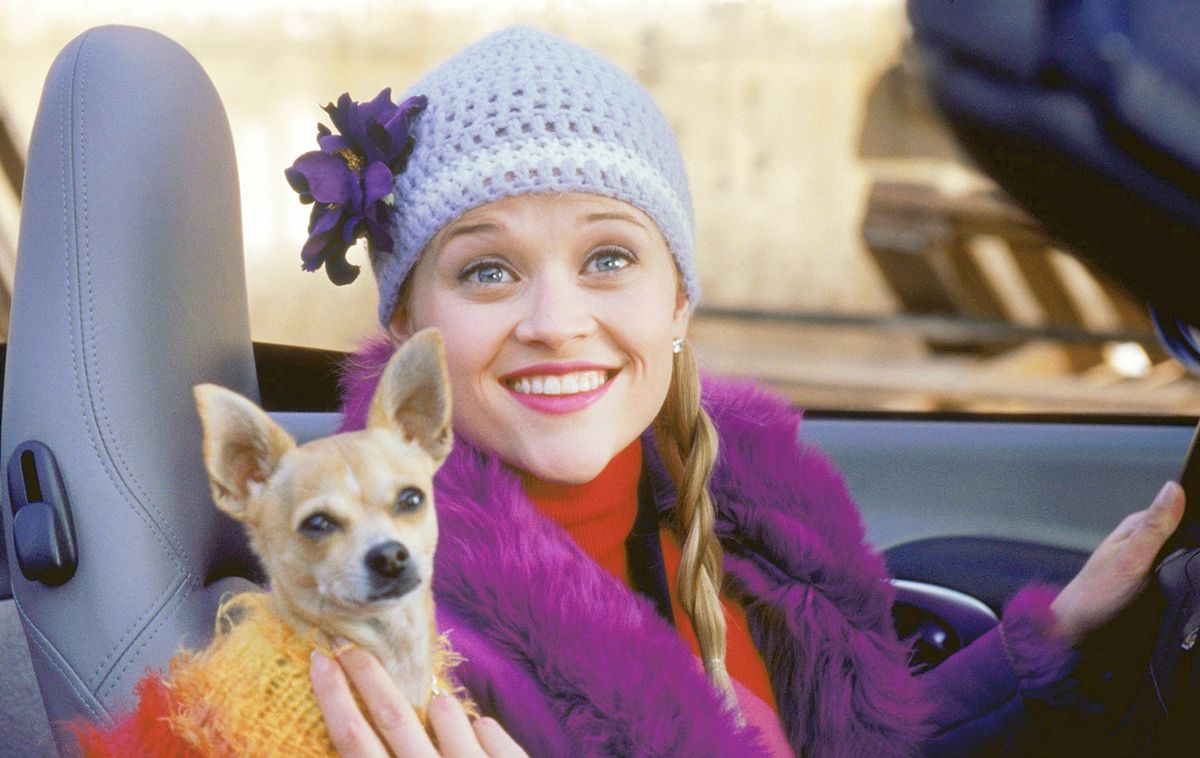 Natürlich blond!/Legally Blonde: Reese Witherspoon als Elle Woods mit ihrem Hund Brutus Woods