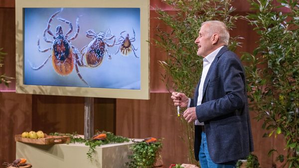 Innovatives Tool gegen Zeckenbisse: tickSAFE bei Die Höhle der Löwen - Foto: RTL / Bernd-Michael Maurer