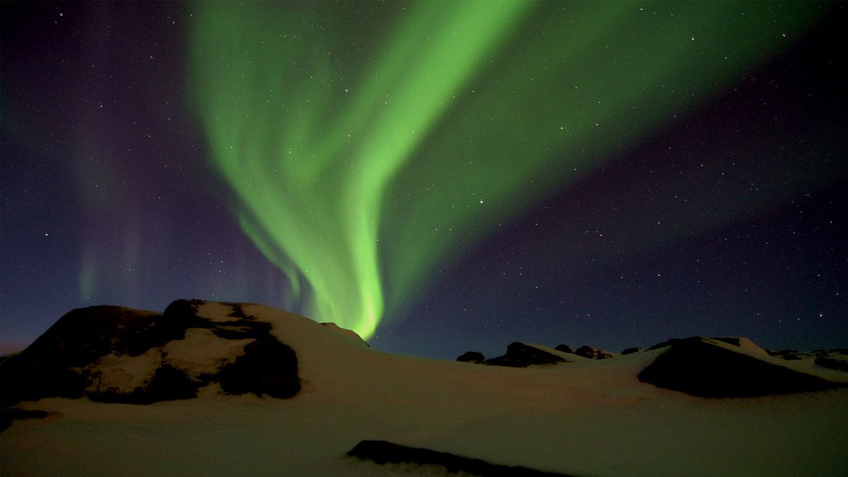 eisige tundra