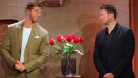 Bei Der Bachelor 2025 scheint es erneut zwei Bachelors zu geben - Foto: RTL