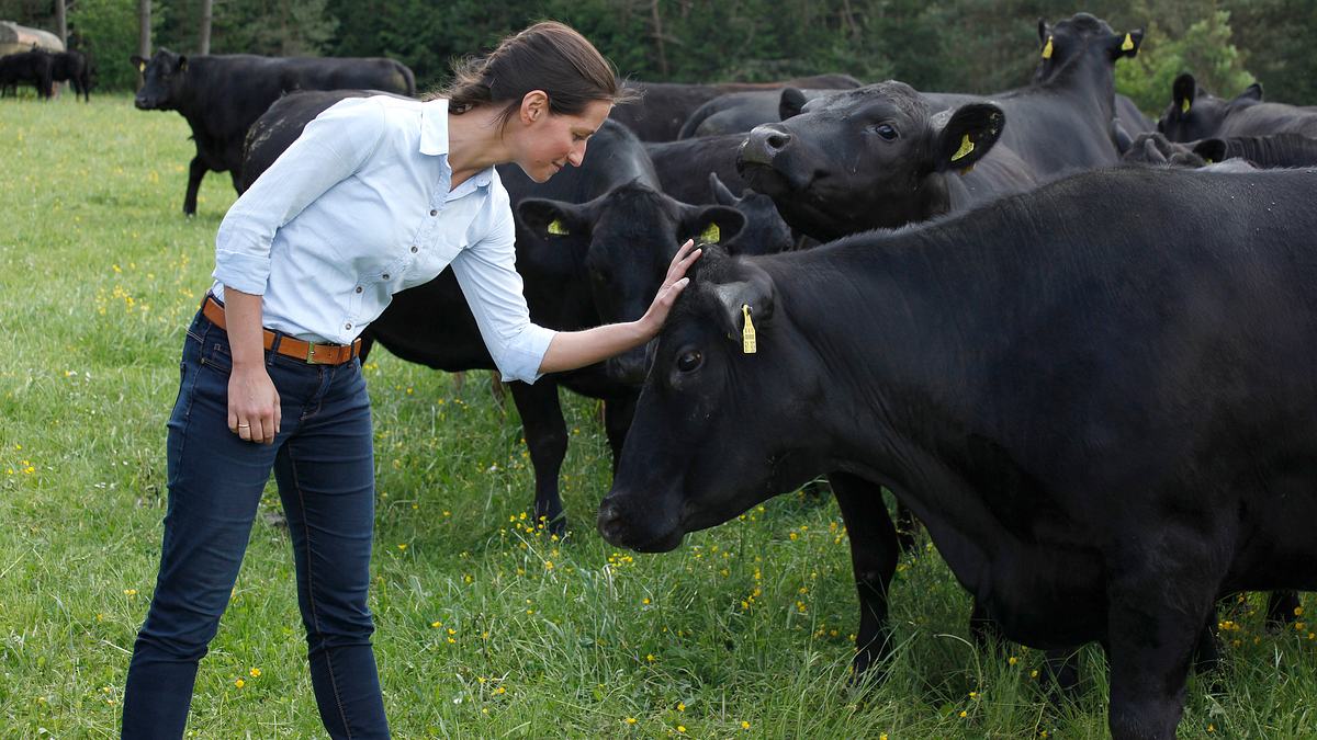 lecker aufs land - eine kulinarische reise