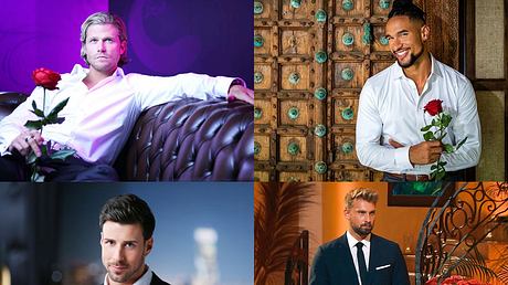 Der „Bachelor“-Gewinnerinnen heute! Liz Kaeber, Clea-Lacy Juhn, Mimi Gwozdz und Co - Foto: Collage: RTL / Stefan Gregorowius, RTL / Frank J. Fastner, RTL, RTL