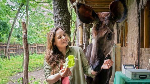 ZDF Tierärztin Dr. Mertens: Neue Folgen, Elisabeth Lanz - Foto: ARD / Steffen Junghans