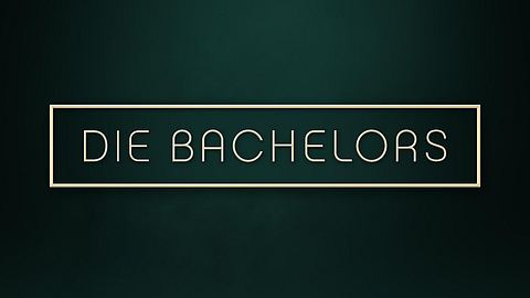 Logo Die Bachelors - Foto: RTL