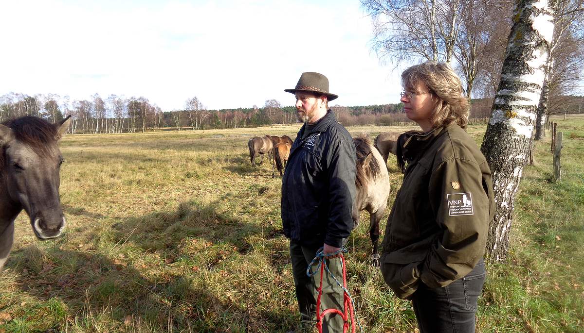 thema: auf der lüneburger heide....