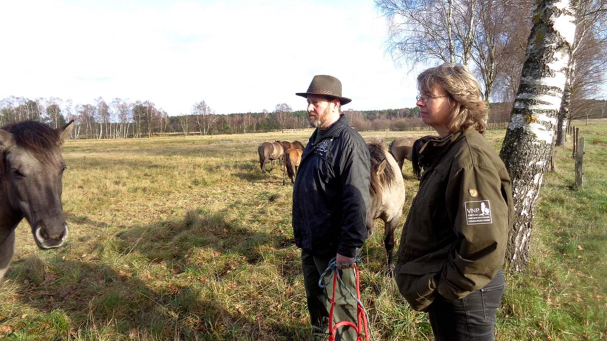 thema: auf der lüneburger heide....