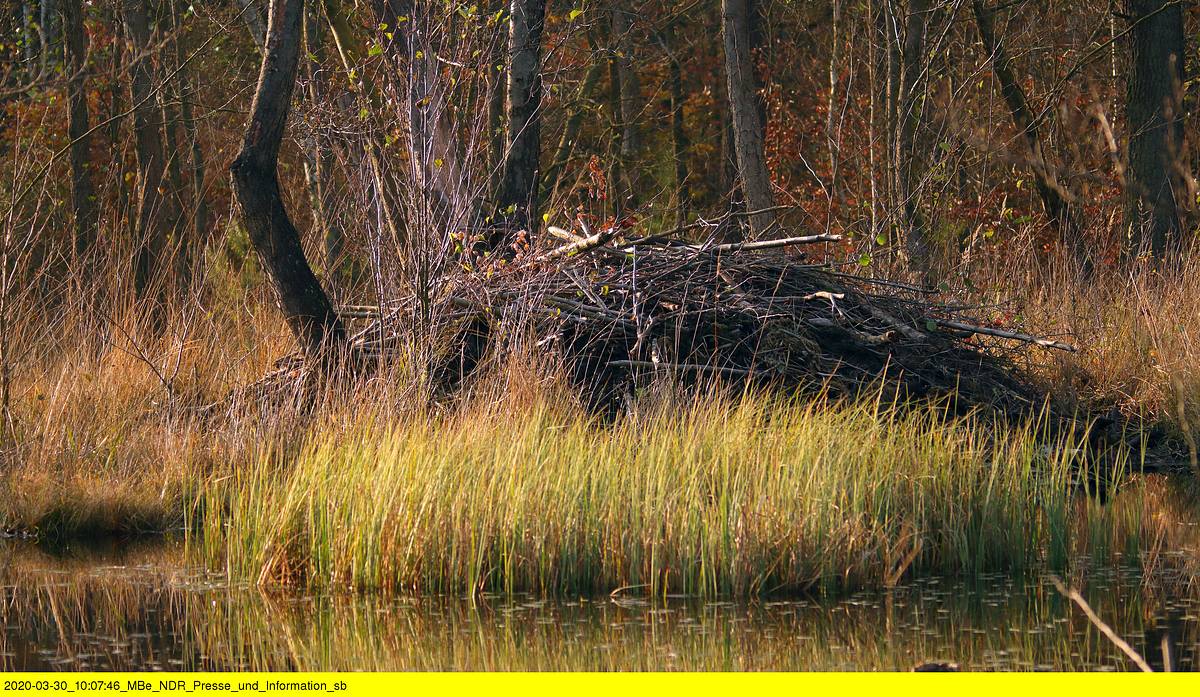 abenteuer wildnis