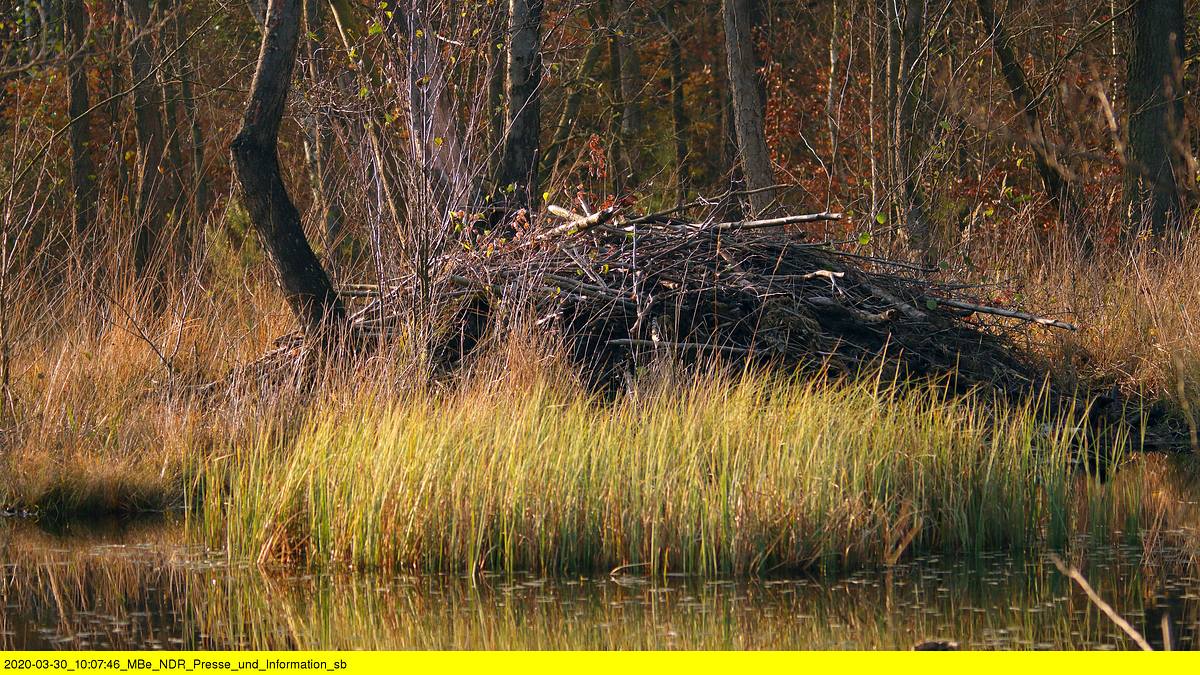 abenteuer wildnis
