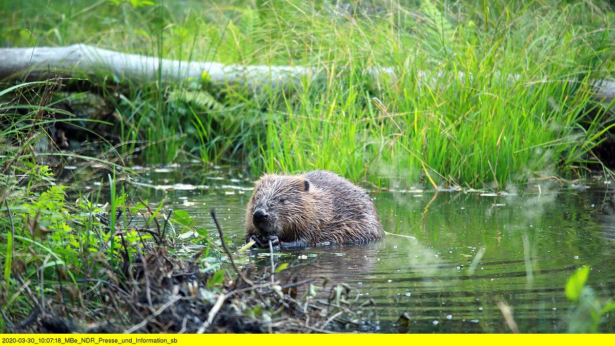 abenteuer wildnis