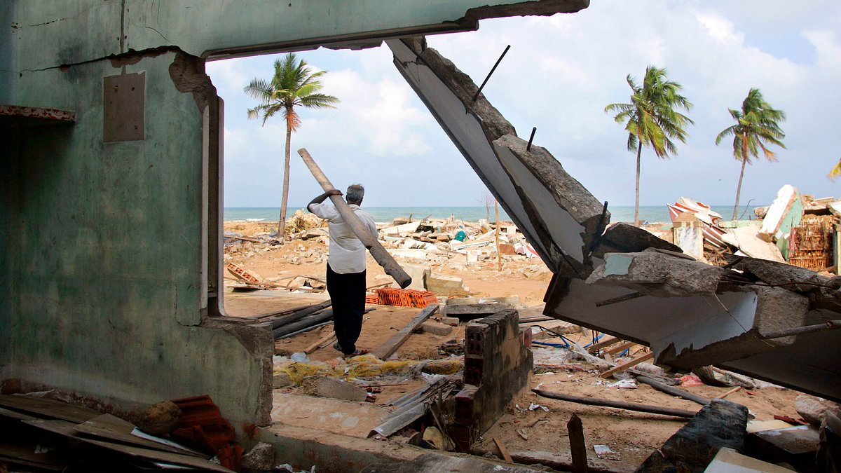 tsunami: wettlauf gegen die zeit
