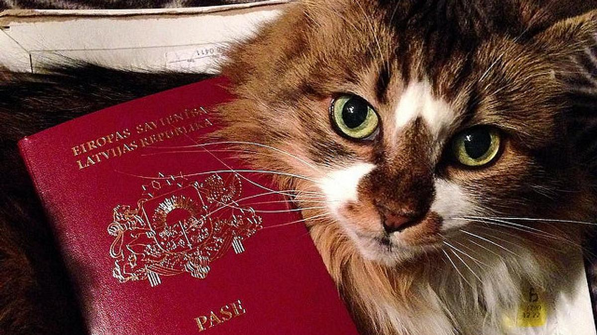 check-in für tiere