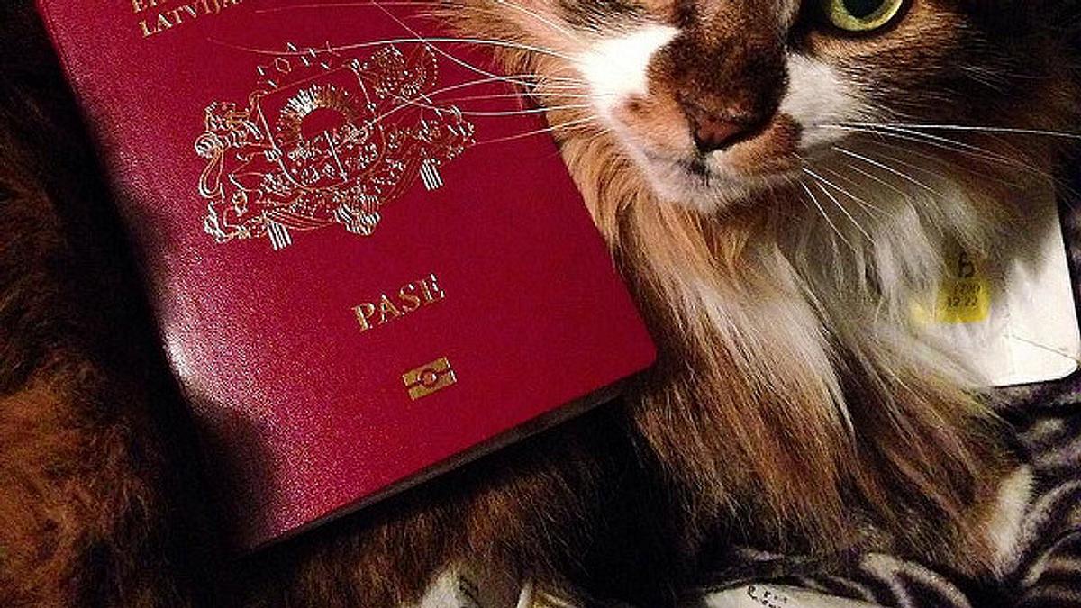 check-in für tiere