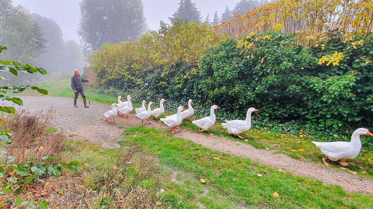 unser dorf hat wochenende - die lange nacht