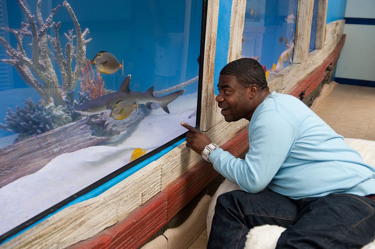 Die Aquarium-Profis die aquarium-profis