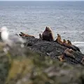 Kanadas Nationalparks Thumbnail
