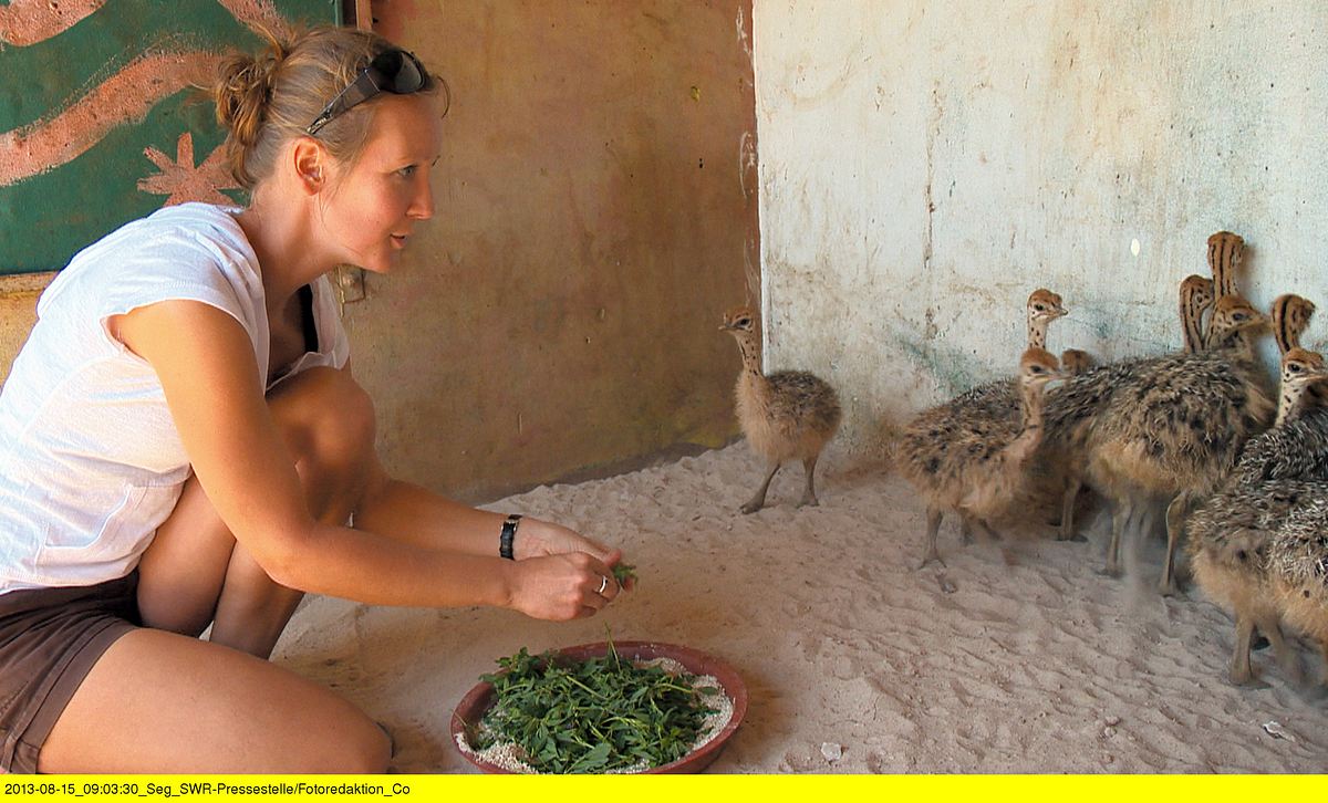 das waisenhaus für wilde tiere - abenteuer afrika