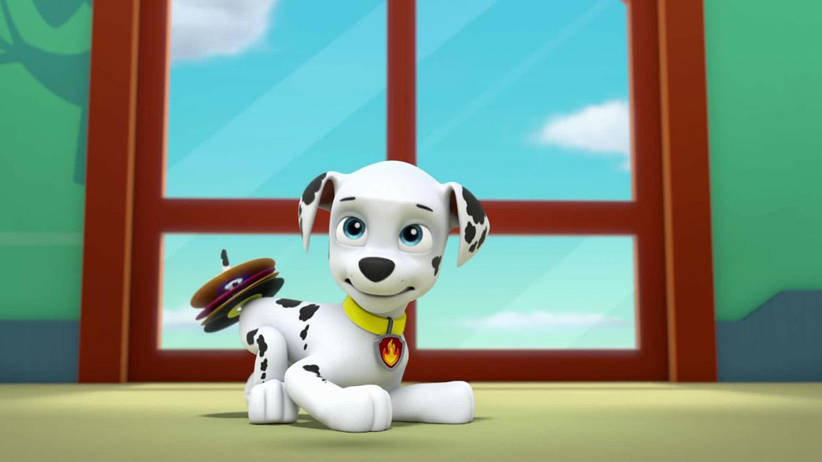 Paw Patrol - Helfer auf vier Pfoten paw patrol - helfer auf vier pfoten
