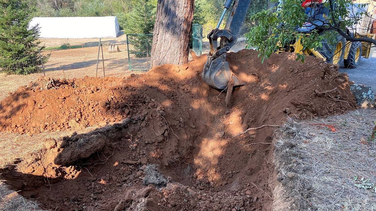 buried in the backyard - mord verjährt nicht