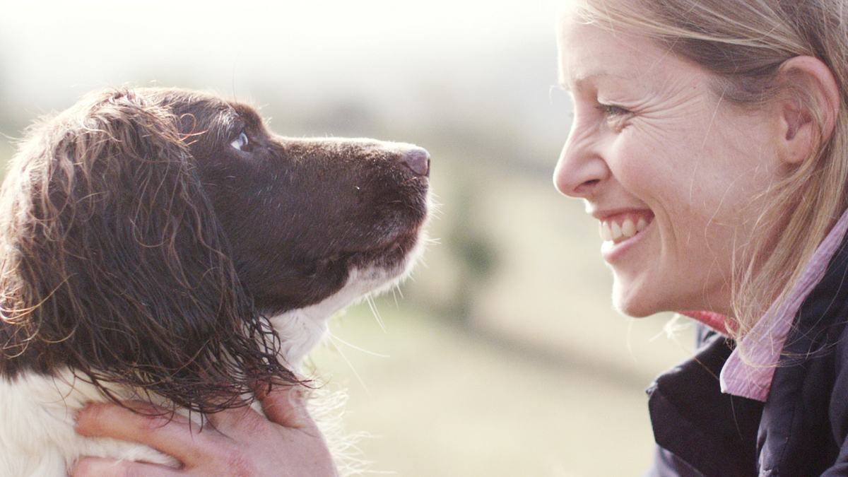 die geheime welt unserer hunde