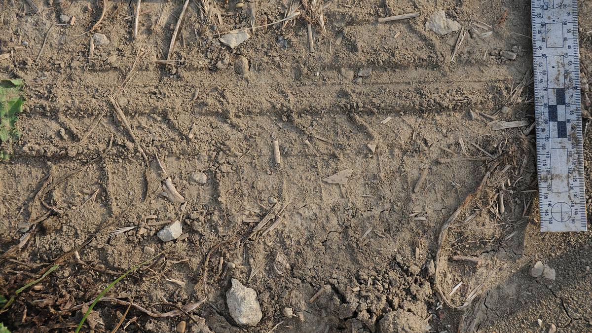 buried in the backyard - mord verjährt nicht